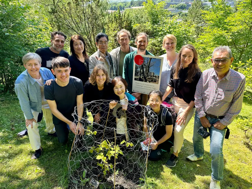 Møt folkene bak Hibakujumoku – et engasjert team av eksperter som jobber med fred, demokrati og naturens resistens.